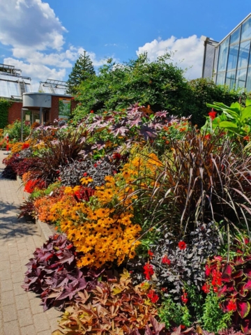 Gesehen in Kiel Botanischer Garten der Universität